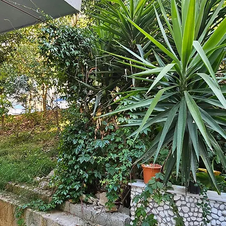 Comfort Apartamento Tirana