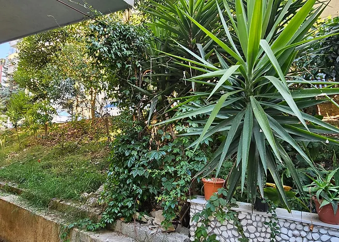 Comfort Apartamento Tirana